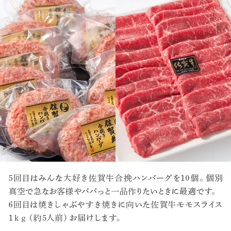 「定期便全6回」 佐賀牛 プレミアム定期便 寄附翌月から発送 A5～A4等級 ギフト 贈り物
