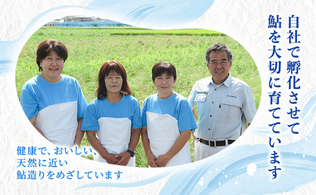 【先行予約】塩焼用 活〆冷凍あゆ 約1kg（9尾～13尾）| 鮎※北海道・沖縄・離島への配送不可 ※2026年7月上旬～9月中旬頃に順次発送予定