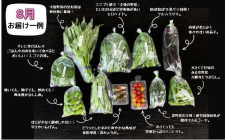 【年間定期】西粟倉村 旬の野菜おまかせセット｜毎月12回 【配送不可地域：北海道・沖縄・離島】 F-FF-B01A F-FF-D00A