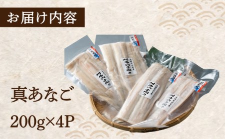 対馬 穴子 開き 800g [WAD012] アナゴ 冷凍 新鮮 あなご 穴子重  