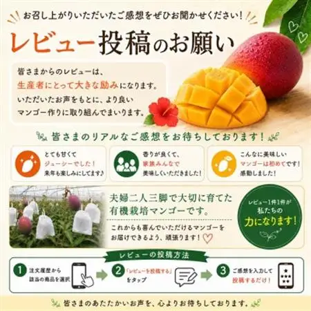 【2026年7月上旬から順次発送・有機JAS認証】オーガニックマンゴー2kg(4～5玉)【配送不可地域：離島】【1589198】