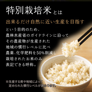 ＜特別栽培米＞(胚芽精米・5分づき)京都府木津川市産ひのひかり15kg　053-02