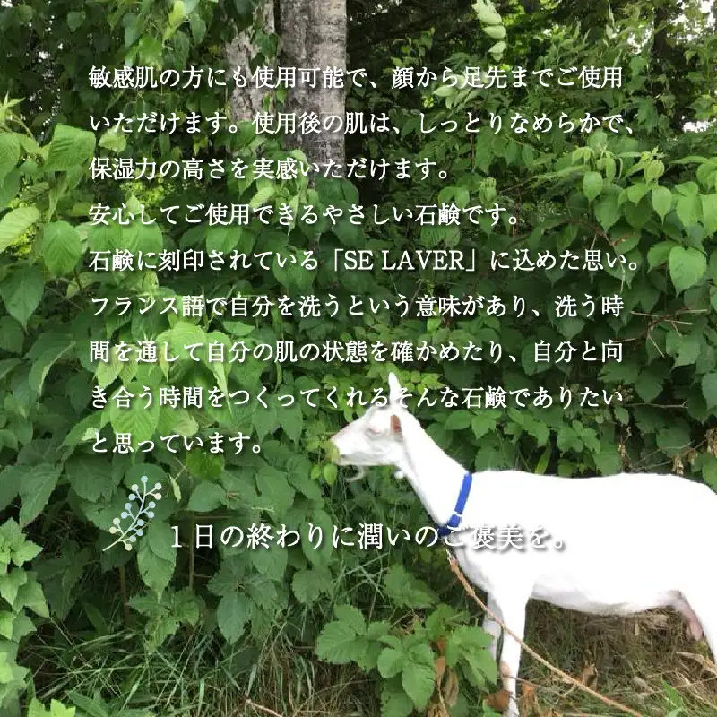 ゴートミルクソープ ラベンダー ( 石鹸 せっけん 敏感肌 アトピー 保湿 )【055-0011】