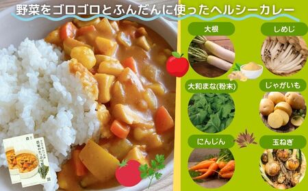 （チルド）山口農園 有機野菜 おまかせセット ＋ カレー２箱 詰合せ / ふるさと納税 山口農園 有機野菜 伝統野菜 オーガニック ベジタリアン 定期便 カレー 無農薬 野菜セット 農家直送  詰め合わせ 奈良県 宇陀市 