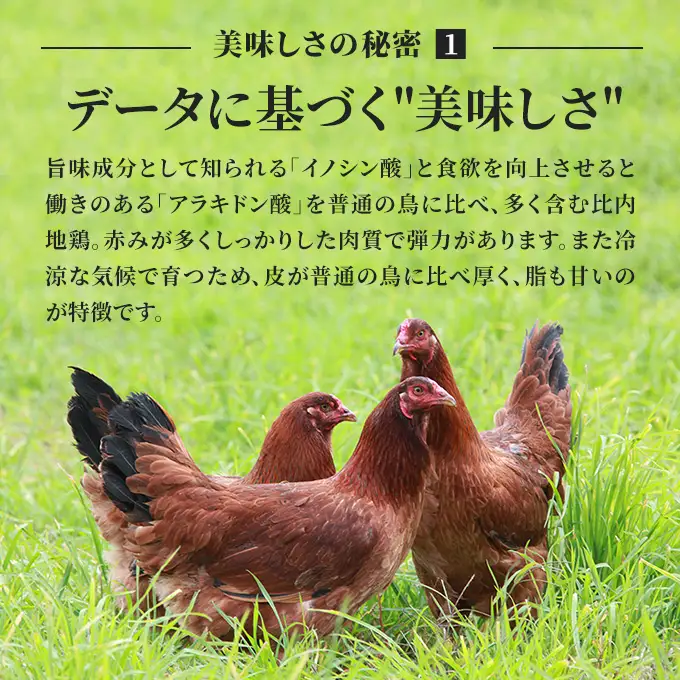秋田県産比内地鶏肉 焼き鳥の定期便（30本×4ヵ月）（焼鳥 4ヶ月 もも肉 むね肉） やきとり 