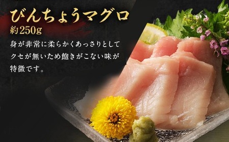 天然マグロ 3種 約750g 【まぐろ】ge002