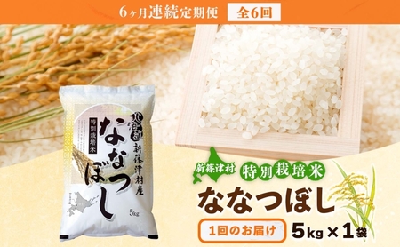 定期便 6ヵ月 北海道 特別栽培 令和7年産 ななつぼし 5kg 精米 米 白米 お米  ごはん ご飯 ライス 道産米 ブランド米 新しのつ米 ふっくら 食味ランキング  産地直送 カワサキ森田屋 お取り寄せ  送料無料