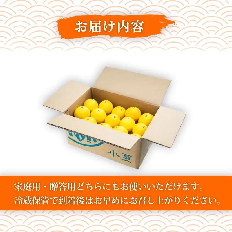 【2026年5月より発送】 熟成 露地小夏 3kg | 柑橘 フルーツ 果物 期間限定 旬の果物 ご家庭用 生産者 農家 直送 高知県 室戸市