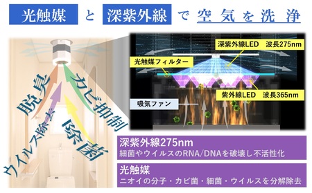 LED照明 昼光色 空気清浄付き 人感センサー ライト 照明 電球 MIKAZE