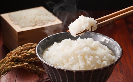 北海道産ゆめぴりか5kg＋北海道月形町産完熟トマト「桃太郎」使用『月形まんまるトマト』3本 米 お米 果汁飲料 野菜飲料 トマトジュース 