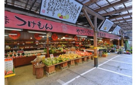 【豊作市場】野菜セット 加工品セット 店長おすすめ おまかせ 5～7種 阿蘇 小国 杖立温泉 産地直送 国産 辛子れんこん 贈り物 贈答 ギフト ご自宅用