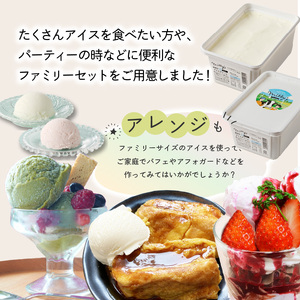 【最速配送】本格ジェラートファミリーセット 2L ／ アイス ジェラート アイスクリーム【B109】