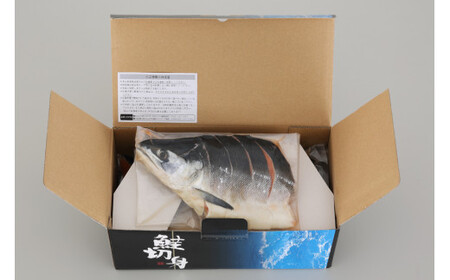 新巻鮭切身 真空 個包装 ロシア沿岸枠漁【1.4kg】_T010-1532