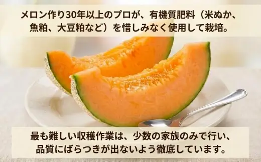 ＜2026年発送＞おいわけメロンパック 糖度16度以上 2.0kg以上×2玉(数量限定) メロン おいわけメロン 赤肉メロン 糖度 スイーツ デザート 果物 国産 北海道 安平町