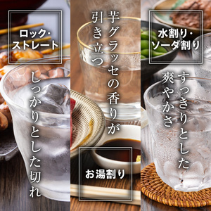 本格芋焼酎『Sun』720ml 2本セット[041S01]