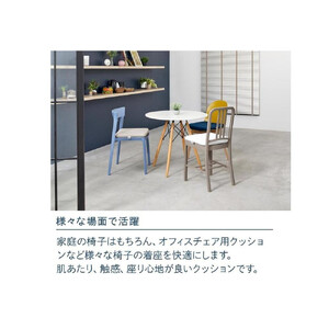 エアウィーヴ クッション ホワイト エアウィーヴ