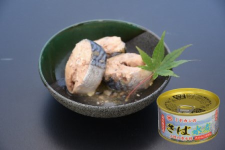 缶詰 三陸の海から ミヤカンのさば水煮・味噌煮セット 各175g×6缶 計12缶 [ミヤカン 宮城県 気仙沼市 20564182]