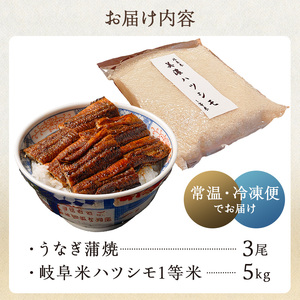 「炭かおる地焼き　うなぎ蒲焼（たれ付）3尾」と「2025年産米　岐阜米ハツシモ1等米5kg」 【0021-014】 