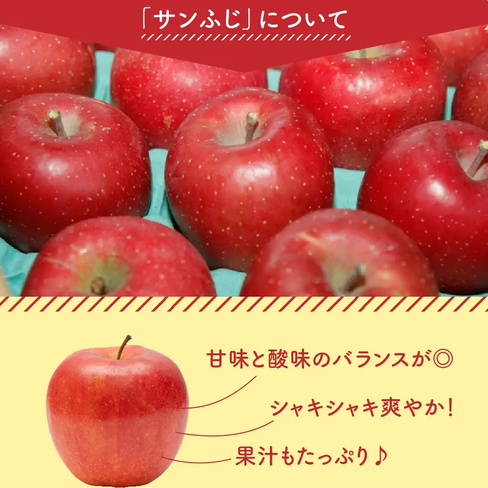 りんご 令和8年産 訳あり りんご サンふじ 約10kg