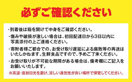 先行予約 宮浦産 蔵出し 日向夏 計2.5kg以上 化粧箱入り_BC130-25