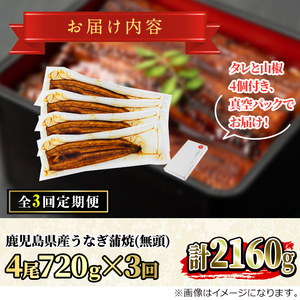 ＜定期便・全3回＞東串良町 うなぎ 蒲焼 (無頭)(4尾・計約720g・タレ、山椒付×3回) 高級 ウナギ 鰻 国産 たれ 鹿児島 ふるさと 人気【アクアおおすみ】【0754307b】
