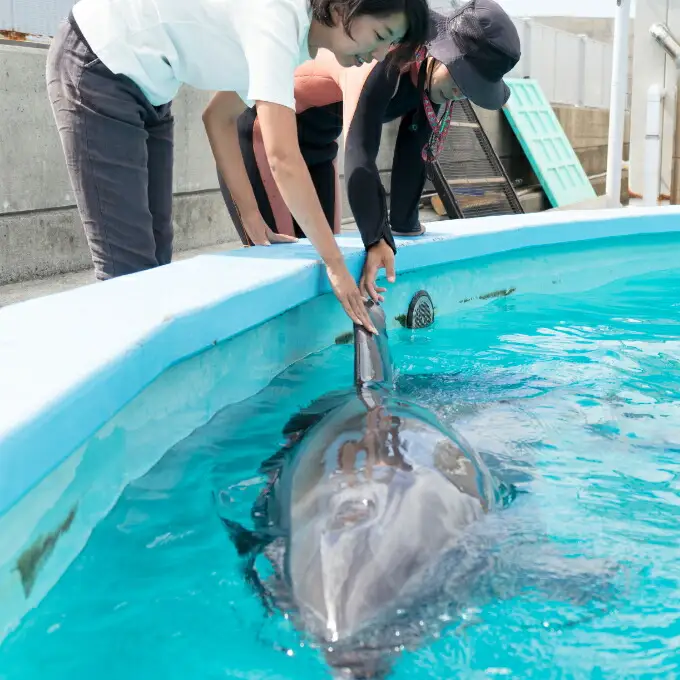 トレーナー体験１名（中学生以上）