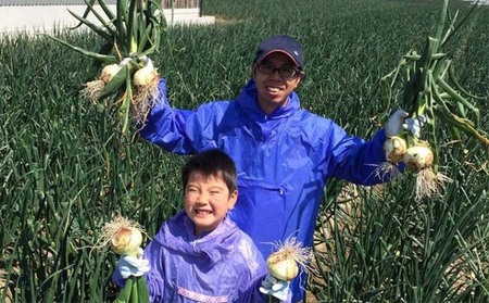 淡路島産玉ねぎ 10kg　◆配送令和8年5月中旬～