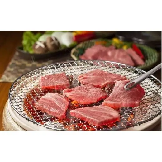 城谷牧場の神戸牛 ロース 焼肉 500g 国産牛 和牛 神戸ビーフ バーベキュー BBQ 冷凍
