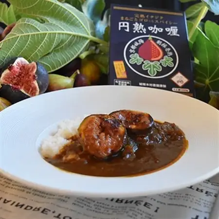 京都府城陽産　イチジクが丸ごと入った　スパイシーなカレー　5箱×1セット_惣菜・加工品 カレー  _【1136496】
