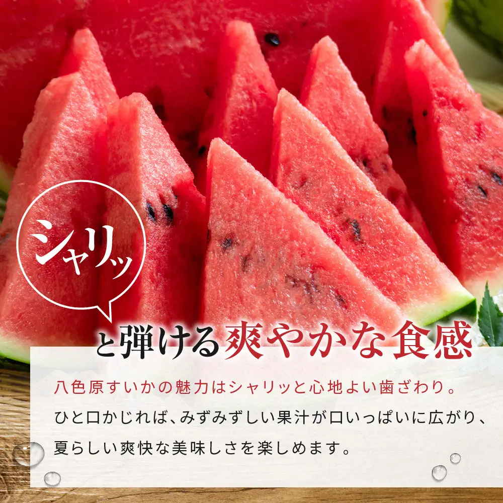 先行予約【高級】八色原すいか小玉２玉【2026年7月中旬発送】【お届け日時指定不可】