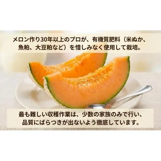 メロン ＜数量限定＞ おいわけメロン 糖度16度以上 1.4kg前後×3玉 赤肉 北海道 安平町産 【1137369】