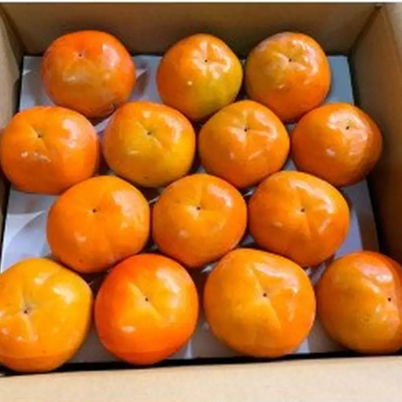 和歌山秋の味覚　富有柿　約7.5kg【uot702A】
