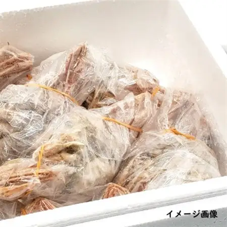 松葉ガニの本場　訳あり釜茹でセコガニ姿(冷凍)大サイズ4杯　高鮮度3D凍結　せいこがに　親ガニ　メス【配送不可地域：離島】【1138434】