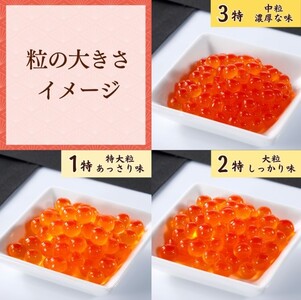 三陸産 いくら醤油漬け牛乳瓶160ｇ プチプチ感が強め。(鮭卵) 岩手県産 国産 