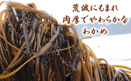 北緯40度ふだいわかめ（湯通し塩蔵わかめ）200g×3袋 三陸産 国産