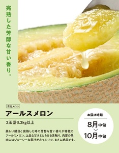 SE0503　【3回定期便】メロン好きに贈る メロンづくしの定期便2026(1) (アンデスメロン、しっかり娘、アールスメロン)