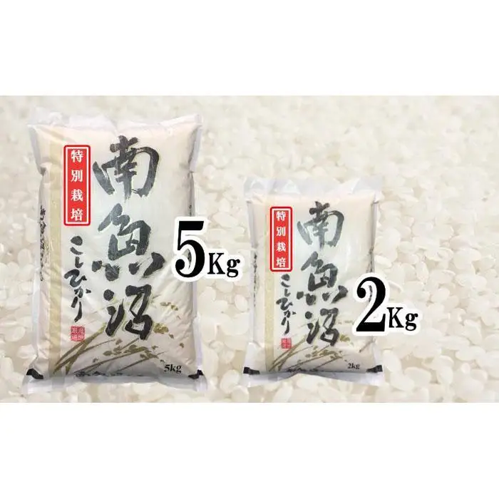 【令和7年産】特別栽培 生産者限定 南魚沼しおざわ産コシヒカリ20Kg【銘柄米 ブランド米 精米 こしひかり コシヒカリ 魚沼産 新潟米 産地直送 お米 米 こめ コメ ご飯 御飯 ごはん】