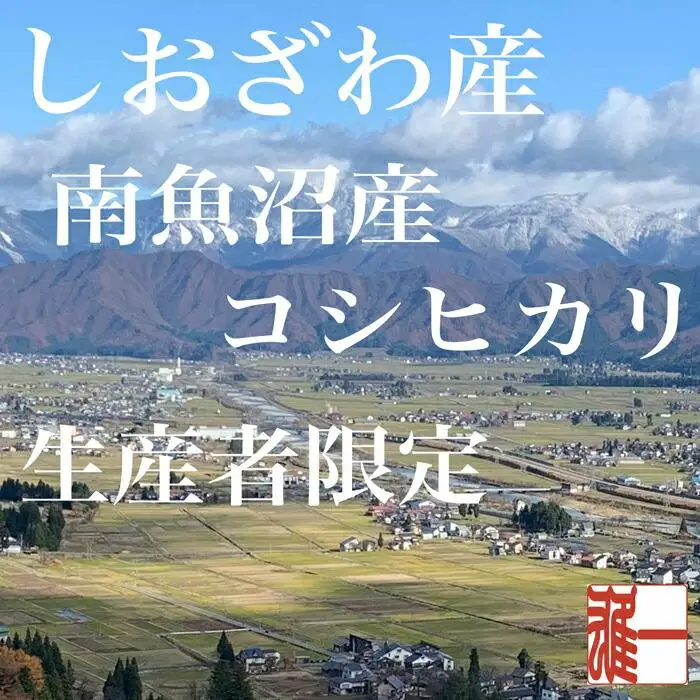 【令和7年産】【定期便：４Kg×9ヶ月】生産者限定 契約栽培 南魚沼しおざわ産コシヒカリ【定期便 銘柄米 ブランド米 精米 こしひかり コシヒカリ 魚沼産 新潟米 産地直送 お米 米 こめ コメ ご飯 御飯 ごはん】