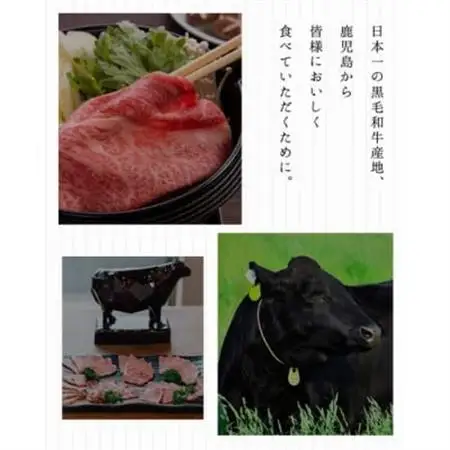 鹿児島県産黒毛和牛サーロインステーキ600g【配送不可地域：離島】【1186039】