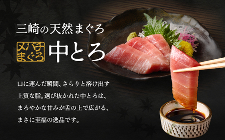 ワンランク上の天然目鉢鮪中とろ・赤身セット 750g M024-003 冷凍 マグロ