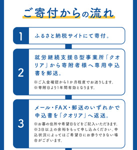 お墓のお掃除代行サービス（清掃・献花・合掌）[044B01]