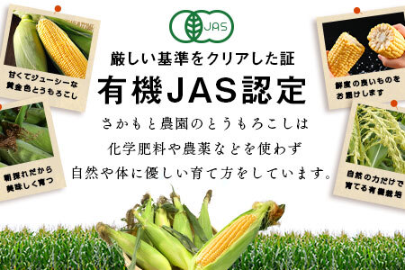 【2026年発送】朝採り有機栽培スイートコーン12本入【AV-004】