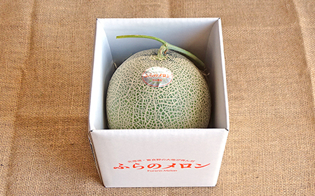 【2026年発送】 【中富良野町】寺坂メロン　1玉入り（赤肉特大）【BF-001】