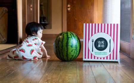 夏の至福スイカ　特L12kg～15kg【BJ-001】