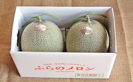 【2026年発送】【中富良野町】寺坂メロン　2玉入り（赤肉特大）【BF-002】