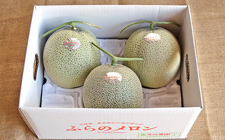【2026年発送】【中富良野町】寺坂メロン　4玉入り（赤肉特大）【BF-003】