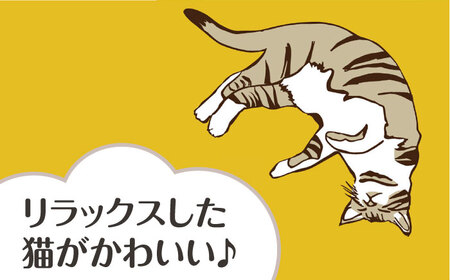 【猫グッズ】ネコのかわいい手ぬぐい ２点セット[AOBX003] ねこ