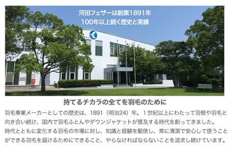 【河田フェザー使用】 ちょっと大きめ ラグジュアリー 羽根まくら （GP-1） ECOダウン フェザー 高級 まくら マクラ 枕 寝具 寝心地 品質 高級 ホテル 日本製 河田フェザー 羽毛 睡眠 清潔 AD1