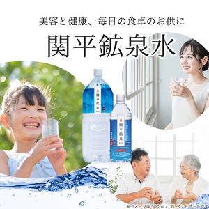 A-031 ＜通常便＞関平鉱泉水500mlペットボトル(計24本)【関平鉱泉所】霧島市 水 ミネラルウォーター 1人暮らし 温泉水 シリカ シリカ水 ミネラル成分 飲料水 500