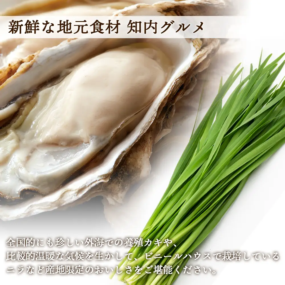 ～絶景と牡蠣の町～ ようこそ！知内町へ☆宿泊クーポン2,500円分
